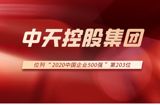 豪运国际集团列2020中国企业500强第203位！